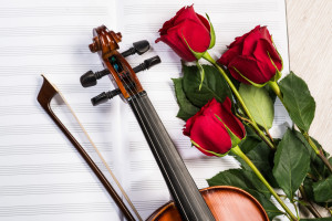 Violin, rose and music books