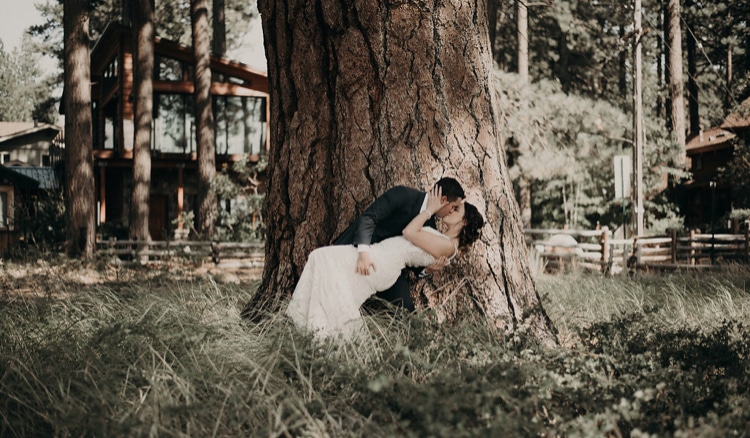 Wedding Dance Couple dipping under tree